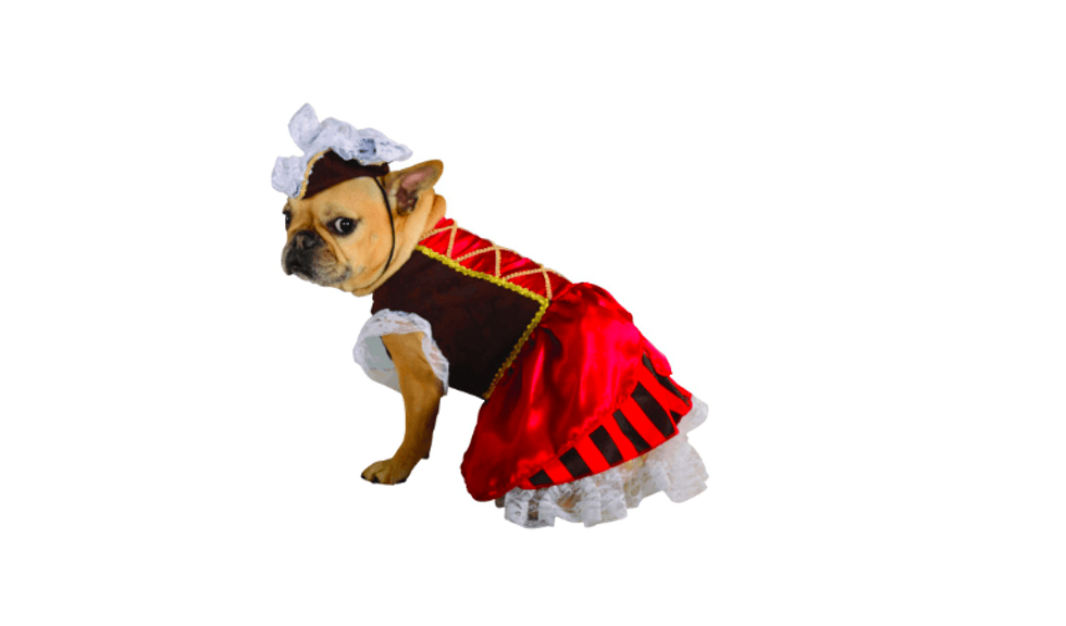 You Can Buy Sexy Dog Halloween Costumes on Fashion Nova - PAPER Magazine You Can Buy Sexy Dog Halloween Costumes on Fashion Nova - PAPER Magazine