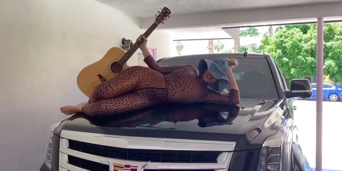 Listen to Sia's 'Tiger King' Parody of 'Savage' for Charity