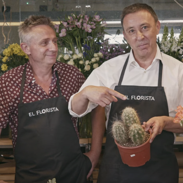 Pornhub Launches Initiative For Small Businesses Affected By COVID-19