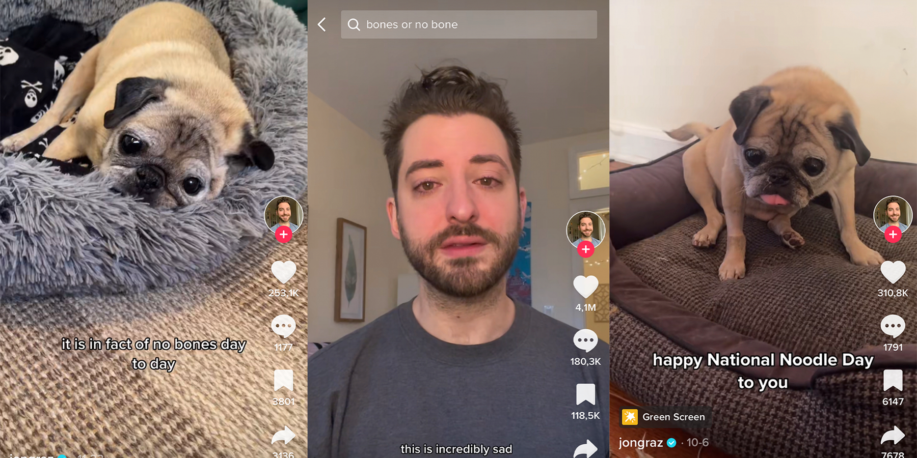 TikTok Star Noodle the Pug Has Died