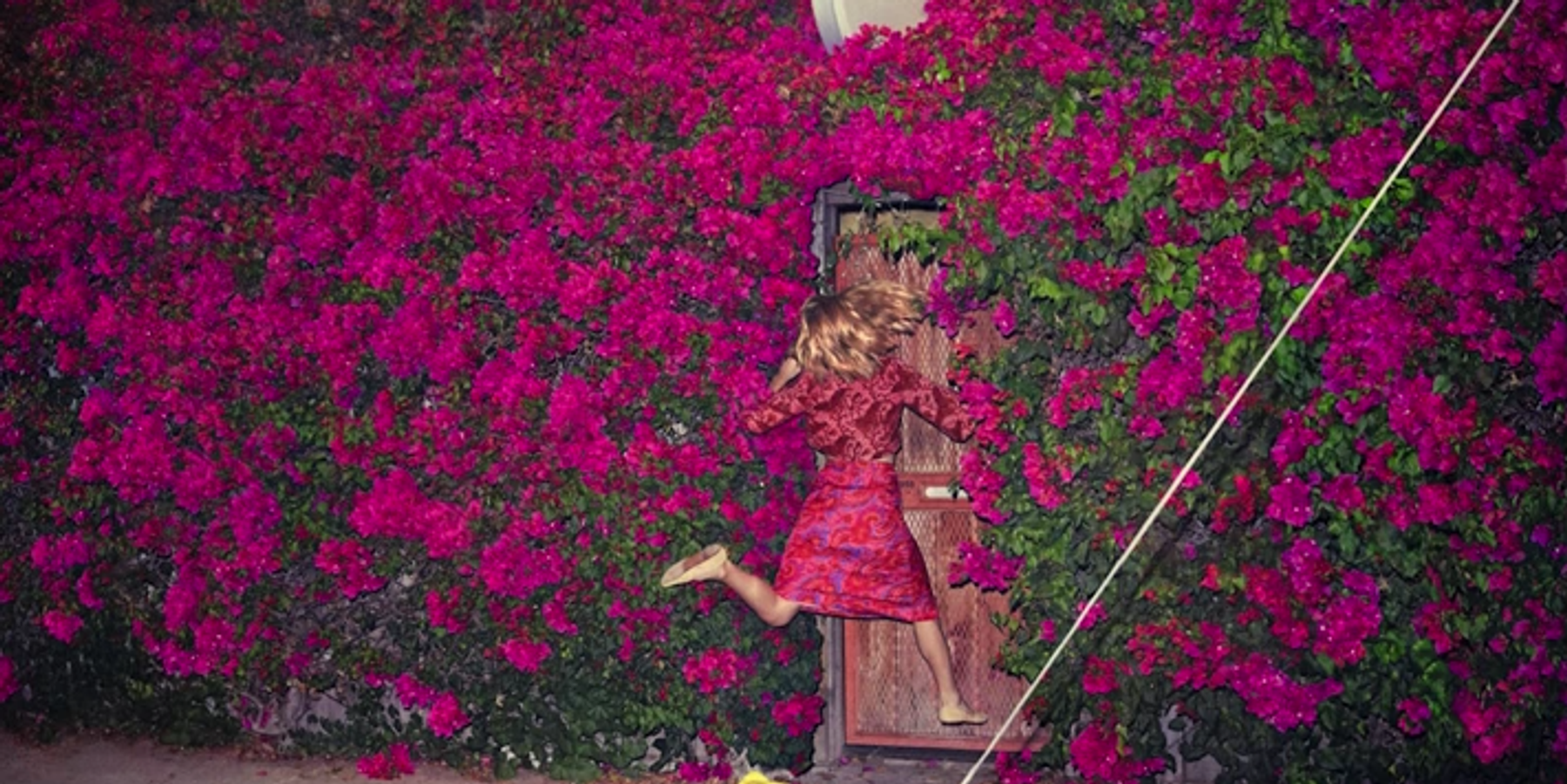 Listen To A Driving New Track From Feist and Jarvis Cocker, "Century"