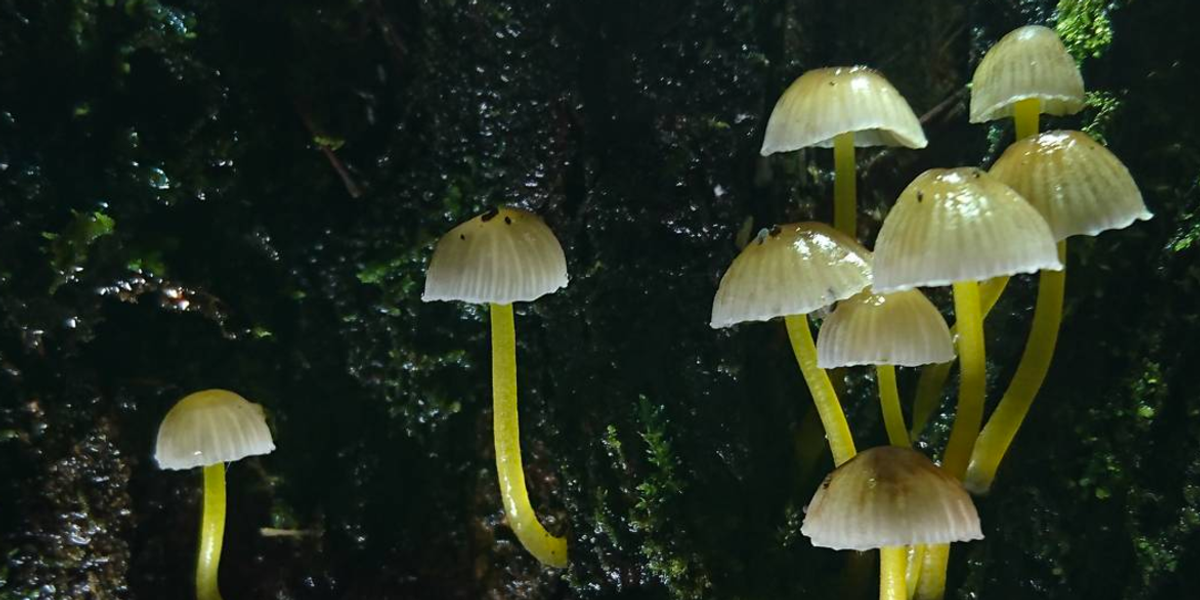 New Study Says This Drug is the Safest