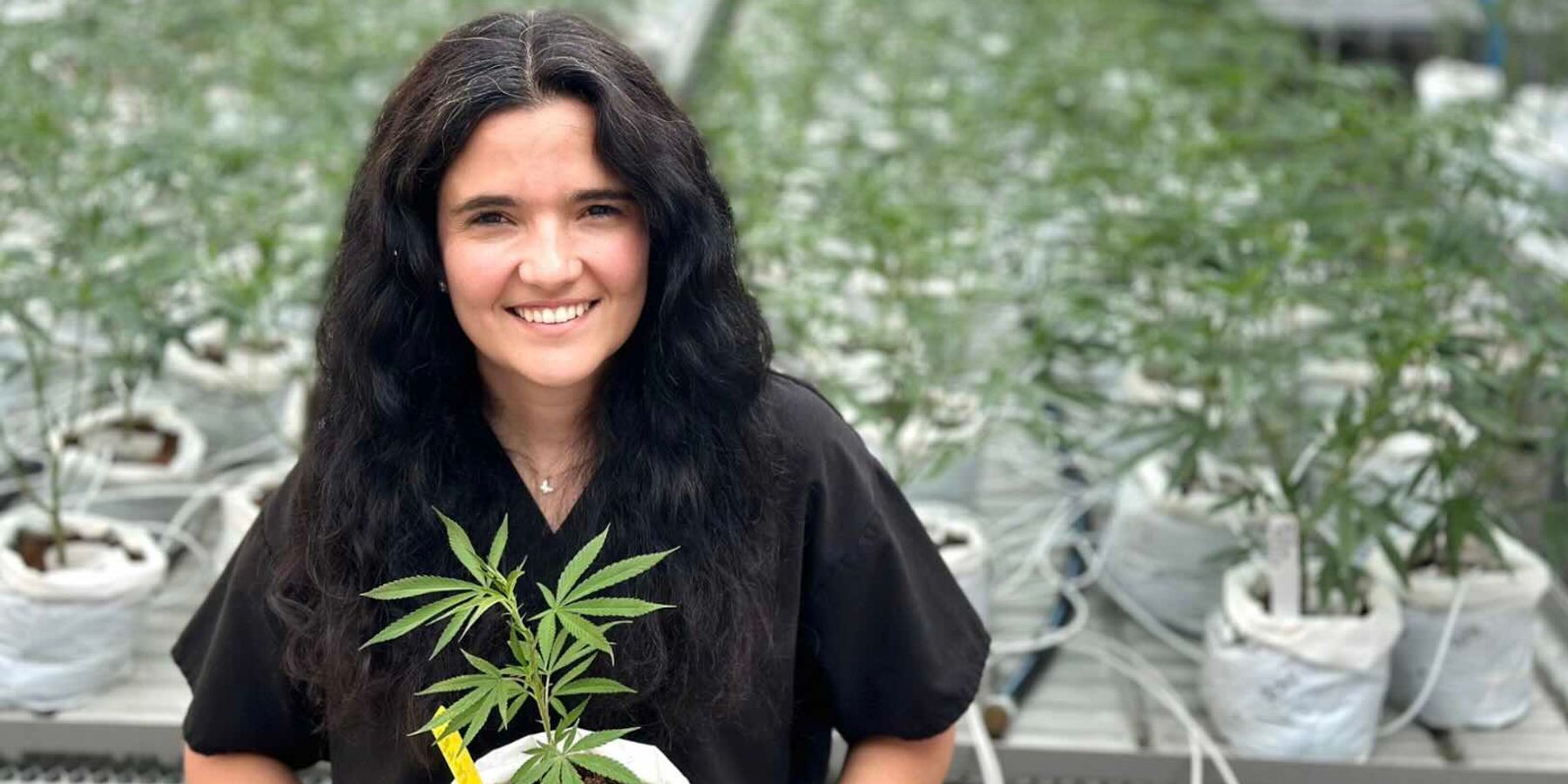 How Women Are Taking Over the Cannabis Industry