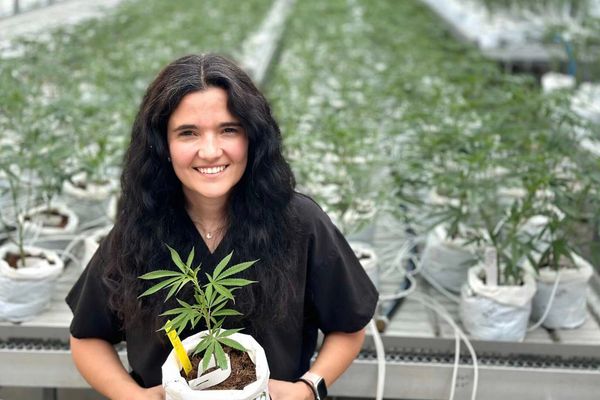 How Women Are Taking Over the Cannabis Industry